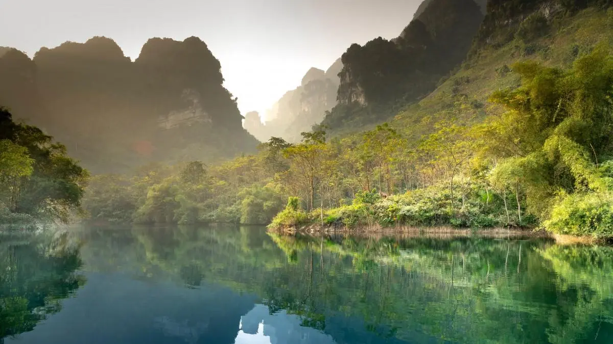 高质量高效独特
